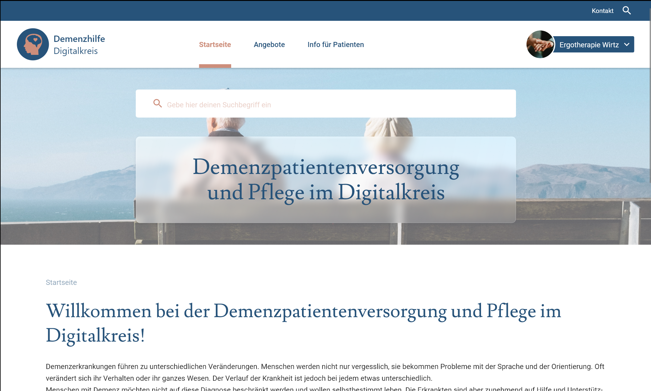 Screen der Webanwendung zur Demezpatientenversorgung